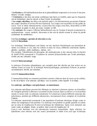 12
• La fixation se fait habituellement dans de la glutaraldéhyde tamponnée et est suivie d’une post-
fixation à l’acide osmique.
• L’inclusion se fait dans une résine synthétique type Epon ou Araldite, après que les fragments
ont été déshydratés dans les alcools et dans l’oxyde de propylène.
• Les coupes ultrafines des blocs sont réalisées grâce à un ultramicrotome qui permet d’obtenir
des coupes ultrafines d’environ 80 nm d’épaisseur. Les coupes sont recueillies sur des grilles de
cuivre. Avec le même ultramicrotome, on peut faire des coupes semi-fines, observables en MO
et permettant de guider le choix des zones à étudier en ME.
• Le contraste des coupes s’effectue habituellement avec de l’acétate d’uranyle (contrastant les
nucléoprotéines : noyau, nucléole, ribosomes) et des sels de plomb comme le citrate de plomb
(contrastant les membranes).
1.1.3 Les techniques spéciales de détection in situ
1.1.3.1 L’histochimie
Les techniques histochimiques sont basées sur des réactions biochimiques qui permettent de
mettre en évidence in situ, dans les cellules ou dans les tissus, différents constituants (lipides,
glucides, protéines, acides nucléiques, métaux, etc).
Par exemple, l’identification du glycogène, des protéoglycanes et des mucines dans la réaction
de Schiff (PAS) correspond à l’oxydation de certains polysaccharides par l’acide périodique,
révélée par une coloration rouge.
1.1.3.2 L’histoenzymologie
La présence d’enzymes (phosphatases, par exemple) peut être décelée par leur action sur un
substrat fourni au cours de la technique histoenzymologique, permettant d’obtenir un produit
secondairement brévélé par coloration.
1.1.3.3 L’immunohistochimie
L’immunohistochimie (ou immunocytochimie) consiste à détecter dans les tissus ou les cellules,
le site de la liaison d’un anticorps spécifique avec la protéine contre laquelle il est dirigé.
Les anticorps spécifiques sont polyclonaux ou monoclonaux
Les anticorps spécifiques peuvent être fabriqués en injectant à plusieurs reprises un échantillon
de l’antigène (protéine à détecter) à un animal (le plus souvent, lapin ou chèvre), et en recueillant
ensuite le sérum riche en anticorps (antisérum). Cet antisérum contient différents anticorps dits
polyclonaux, produits par différents plasmocytes, reconnaissant divers antigènes de la protéine
d’intérêt.
Un anticorps monoclonal correspond à une population d’anticorps identiques dirigés contre le
même site antigénique d’une protéine. Ces anticorps sont produits en grande quantité en culture
par un clone de lymphocytes B selon la technique des hybridomes. Après avoir immunisé une
souris contre un antigène donné, on prélève dans sa rate des lymphocytes B.
Ceux-ci sont fusionnés avec des plasmocytes tumoraux immortalisés. Après sélection, les
hybridomes ainsi obtenus sont une source permanente et stable d’un seul type d’anticorps
 