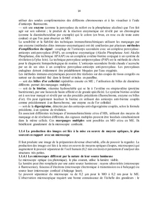 14
utiliser des sondes complémentaires des différents chromosomes et à les visualiser à l’aide
d’anticorps fluorescents.
— soit une enzyme (comme la peroxydase du raifort ou la phosphatase alcaline) que l’on fait
agir sur son substrat ; le produit de la réaction enzymatique est révélé par un chromogène
(comme la diaminobenzidine par exemple) qui le colore (en brun, en rose ou de toute autre
couleur) et que l’on peut observer en MO.
La sensibilité et la fiabilité des techniques immunohistochimiques utilisant les marquages par
une enzyme (méthodes dites immuno-enzymatiques) ont été améliorées par plusieurs méthodes
d’amplification du signal : couplage de l’anticorps secondaire avec un complexe peroxydase-
anticorps anti-peroxydase (PAP), un complexe enzymatique (Alcalin Phosphatase Anti Alcalin
Phosphatase, dite technique APAAP) ou un complexe avidine-biotine conjugué à un système de
révélation (cf plus loin). La technique peroxydase-antiperoxydase (PAP) est la méthode de choix
pour le diagnostic histopathologique de routine. L’anticorps secondaire froide chaude s’accroche
par un de ses sites à un complexe peroxydase-anticorps anti-peroxydase. Les peroxydases
endogènes doivent évidemment être préalablement bloquées par l’eau oxygénée.
Les méthodes immuno-enzymatiques peuvent être réalisées sur des coupes de tissus congelés ou
surtout sur du matériel fixé dans le formol et inclus en paraffine.
— soit des billes d’or colloïdal repérables ensuite en ME ; l’utilisation de billes de diamètres
différents permet des marquages multiples.
— soit de la biotine, vitamine hydrosoluble qui se lie à l’avidine ou streptavidine (protéine
bactérienne), par une liaison de haute affinité et de grande spécificité. Le système biotine-avidine
est à son tour marqué et révélé par un des procédés précédents (fluorochrome, enzyme ou billes
d’or). On peut également localiser la biotine en utilisant des anticorps anti-biotine couplés
comme précédemment à un fluorochrome, une enzyme ou de l’or colloïdal.
— soit de la digoxigénine, détectée par des anticorps anti-digoxigénine couplés, selon la formule
précédente, à un système de révélation.
En associant différentes techniques d’immunohistochimie et/ou d’HIS, utilisant des moyens de
marquage et de révélation différents, des signaux multiples peuvent être localisés simultanément
dans la même cellule. Ces marquages multiples sont possibles en MO et/ou en ME. Ils
bénéficient grandement de la microscopie confocale.
1.1.4 La production des images est liée à la mise en oeuvre de moyens optiques, le plus
souvent en rapport avec un microscope
Il faut produire une image de la préparation devenue observable, afin de pouvoir la regarder. La
production des images est liée à la mise en oeuvre de moyens optiques (loupes, microscopes) qui
augmentent le pouvoir séparateur de l’oeil humain (0,2 mm environ) et permettent d’analyser des
structures très petites.
1.1.4.1 Les microscopes diffèrent par la nature de leur source lumineuse
Le microscope optique (ou photonique), le plus courant, utilise la lumière visible.
La lumière peut être remplacée par une autre source lumineuse : rayons ultraviolets (microscope
à fluorescence), faisceau d’électrons (microscope électronique à transmission ou à balayage) ou
source laser (microscope confocal à balayage laser).
Le pouvoir séparateur du microscope va de 0,2 μm pour le MO à 0,2 nm pour le ME.
L’observation microscopique requiert une bonne connaissance de l’échelle des grandeurs : le
 