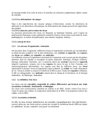 16
de montage (bulles d’air entre la lame et la lamelle), de coloration (empâtements, dépôts, taches
de colorant).
1.1.5.3 Les déformations des images
Dues à des imperfections des moyens optiques d’observation, comme les aberrations de
sphéricité ou les aberrations chromatiques, les déformations des images peuvent être rapprochées
des artéfacts.
1.1.5.4 La mauvaise préservation des tissus
La mauvaise préservation des tissus est fréquente en histologie humaine, qu’il s’agisse de
prélèvements biopsiques ou per-opératoires (retard de fixation, tissus situés à proximité de zones
pathologiques) ou surtout de prélèvements post-mortem (autopsies tardives).
1.2 Le concept de tissu
1.2.1 Les niveaux d’organisation structurale
On reconnaît, dans l’organisme, différents niveaux d’organisation structurale qui correspondent,
en allant du plus complexe vers le plus élémentaire, aux systèmes et appareils, aux organes,
aux tissus, aux cellules, aux organites, aux molécules.
Ces différents niveaux d’organisation structurale de l’organisme sont couverts par des disciplines
distinctes dont les champs se recoupent en partie (anatomie, histologie, biologie cellulaire,
biologie moléculaire, biochimie, etc). L’anatomie décrit des systèmes (nerveux) et appareils
(digestif, respiratoire, urinaire, etc) et des organes (le coeur, la rate, le foie, l’estomac, etc)
macroscopiquement individualisés. Les organes sont faits de différents tissus. Les tissus
représentant le premier niveau d’organisation supra-cellulaire. La cellule est l’unité élémentaire
de vie. Tissus et cellules se situent à l’échelle de la MO et, pour l’étude des organites cellulaires,
la ME est indispensable. Les molécules entrent dans le champ de la biochimie, de la biologie
moléculaire, de l’histologie moléculaire.
1.2.2 La définition d’un tissu
Les tissus sont des ensembles coopératifs de cellules différenciées qui forment une triple
association, territoriale, fonctionnelle et biologique.
Les tissus sont exclusivement constitués de cellules et de MEC. Seules varient d’un tissu à
l’autre la nature des cellules, la composition moléculaire de la MEC et la proportion relative des
cellules et de la MEC.
1.2.2.1 Association territoriale
En effet, les tissus forment habituellement des ensembles topographiquement bien individualisés,
souvent même par une limite précise comme par exemple la membrane basale (MB) qui sépare
les épithéliums du tissu conjonctif sous-jacent ou environnant.
 