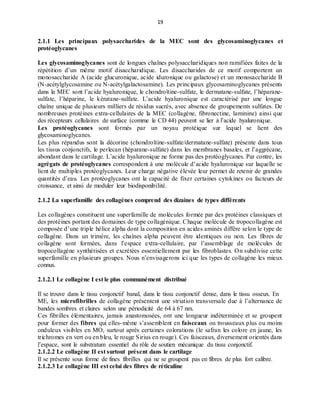 19
2.1.1 Les principaux polysaccharides de la MEC sont des glycosaminoglycanes et
protéoglycanes
Les glycosaminoglycanes sont de longues chaînes polysaccharidiques non ramifiées faites de la
répétition d’un même motif disaccharidique. Les disaccharides de ce motif comportent un
monosaccharide A (acide glucuronique, acide iduronique ou galactose) et un monosaccharide B
(N-acétylglycosamine ou N-acétylgalactosamine). Les principaux glycosaminoglycanes présents
dans la MEC sont l’acide hyaluronique, le chondroïtine-sulfate, le dermatane-sulfate, l’héparane-
sulfate, l’héparine, le kératane-sulfate. L’acide hyaluronique est caractérisé par une longue
chaîne unique de plusieurs milliers de résidus sucrés, avec absence de groupements sulfates. De
nombreuses protéines extra-cellulaires de la MEC (collagène, fibronectine, laminine) ainsi que
des récepteurs cellulaires de surface (comme le CD 44) peuvent se lier à l’acide hyaluronique.
Les protéoglycanes sont formés par un noyau protéique sur lequel se lient des
glycosaminoglycanes.
Les plus répandus sont la décorine (chondroïtine-sulfate/dermatane-sulfate) présente dans tous
les tissus conjonctifs, le perlecan (héparane-sulfate) dans les membranes basales, et l’aggrécane,
abondant dans le cartilage. L’acide hyaluronique ne forme pas des protéoglycanes. Par contre, les
agrégats de protéoglycanes correspondent à une molécule d’acide hyaluronique sur laquelle se
lient de multiples protéoglycanes. Leur charge négative élevée leur permet de retenir de grandes
quantités d’eau. Les protéoglycanes ont la capacité de fixer certaines cytokines ou facteurs de
croissance, et ainsi de moduler leur biodisponibilité.
2.1.2 La superfamille des collagènes comprend des dizaines de types différents
Les collagènes constituent une superfamille de molécules formée par des protéines classiques et
des protéines portant des domaines de type collagénique. Chaque molécule de tropocollagène est
composée d’une triple hélice alpha dont la composition en acides aminés diffère selon le type de
collagène. Dans un trimère, les chaînes alpha peuvent être identiques ou non. Les fibres de
collagène sont formées, dans l’espace extra-cellulaire, par l’assemblage de molécules de
tropocollagène synthétisées et excrétées essentiellement par les fibroblastes. On subdivise cette
superfamille en plusieurs groupes. Nous n’envisagerons ici que les types de collagène les mieux
connus.
2.1.2.1 Le collagène I est le plus communément distribué
Il se trouve dans le tissu conjonctif banal, dans le tissu conjonctif dense, dans le tissu osseux. En
ME, les microfibrilles de collagène présentent une striation transversale due à l’alternance de
bandes sombres et claires selon une périodicité de 64 à 67 nm.
Ces fibrilles élémentaires, jamais anastomosées, ont une longueur indéterminée et se groupent
pour former des fibres qui elles-même s’assemblent en faisceaux ou trousseaux plus ou moins
onduleux visibles en MO, surtout après certaines colorations (le safran les colore en jaune, les
trichromes en vert ou en bleu, le rouge Sirius en rouge). Ces faisceaux, diversement orientés dans
l’espace, sont le substratum essentiel du rôle de soutien mécanique du tissu conjonctif.
2.1.2.2 Le collagène II est surtout présent dans le cartilage
Il se présente sous forme de fines fibrilles qui ne se groupent pas en fibres de plus fort calibre.
2.1.2.3 Le collagène III est celui des fibres de réticuline
 