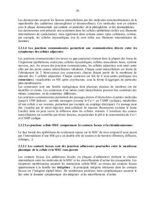 25
Les desmosomes assurent les liaisons intercellulaires par des molécules transmembranaires de la
superfamille des cadhérines (desmogléines et desmocollines). Ces molécules sont en relation
avec la plaque desmosomale qui contient en particulier de la plakoglobine et des desmoplakines.
Les desmosomes sont présents non seulement dans les cellules épithéliales (reliés aux filaments
intermédiaires de cytokératine), mais également dans certains autres types cellulaires, comme,
par exemple, les cellules myocardiques (où ils sont reliés aux filaments intermédiaires de
desmine).
2.3.1.4 Les jonctions communicantes permettent une communication directe entre les
cytoplasmes des cellules adjacentes
Les jonctions communicantes (ou nexus ou gap-junctions) existent dans la plupart des tissus de
l’organisme (épithéliums, ostéocytes, cellules myocardiques, cellules musculaires lisses, système
nerveux, etc). Au niveau des jonctions communicantes, les cellules adjacentes sont unies entre
elles par des petits canaux intercellulaires tubulaires. Chaque canal intercellulaire est formé de
l’aboutement de 2 hémi-canaux (ou connexons), chacun faisant partie de la membrane de
chacune des 2 cellules adjacentes. Chaque connexon est fait de 6 sous-unités protéiques (ou
connexines), visualisables en ME après cryofracture, sous la forme d’aggrégats de particules
intra-membranaires.
Les connexines sont une famille multigénique dont plusieurs dizaines de membres ont été
identifiés et clonés. Les connexons d’un même canal intercellulaire peuvent être constitués des
mêmes connexines ou de connexines différentes.
Les jonctions communicantes permettent des passages directs d’électrolytes et petites molécules
(jusqu’à 1500 daltons) : seconds messagers (comme le Ca++ ou l’AMP cyclique), métabolites
(d’une cellule à ses voisines, permettant par exemple un couplage électrique). Ce passage peut
être visualisé par la micro-injection intra-cellulaire de traceurs fluorescents (comme le Jaune
Lucifer) dont on peut suivre la diffusion dans les cellules voisines. L’ouverture des canaux
intercellulaires est contrôlée par divers facteurs, en particulier le pH et la concentration de Ca++
et d’AMP cyclique.
2.3.2 Les jonctions cellule-MEC comprennent les contacts focaux et les hémidesmosomes
La face basale des épithéliums de revêtement repose sur la MEC du tissu conjonctif sous-jacent
par l’intermédiaire d’une MB qui a un double rôle de soutien et de barrière (filtration, diffusion,
échanges,...).
2.3.2.1 Les contacts focaux sont des jonctions adhérentes ponctuelles entre la membrane
plasmique de la cellule et la MEC sous-jacente
Les contacts focaux (ou adhérences focales ou plaques d’adhérence) réalisent le chaînon
intermédiaire entre les molécules de la MEC et les microfilaments d’actine du cytosquelette. Les
récepteurs membranaires assurant les interactions cellule-MEC au niveau des contacts focaux
appartiennent à la famille des intégrines ; la principale intégrine intéressée dans les contacts
focaux est l’intégrine alpha5-béta1. De nombreuses protéines intra-cytoplasmiques assurent le
lien entre le domaine cytoplasmique des intégrines et les microfilaments d’actine.
 