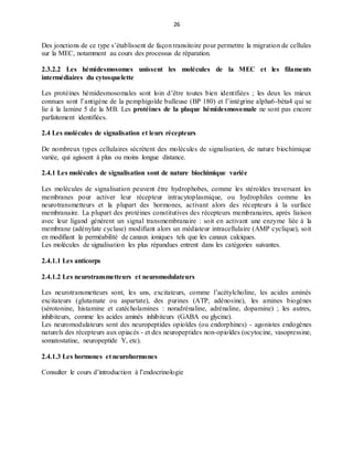26
Des jonctions de ce type s’établissent de façon transitoire pour permettre la migration de cellules
sur la MEC, notamment au cours des processus de réparation.
2.3.2.2 Les hémidesmosomes unissent les molécules de la MEC et les filaments
intermédiaires du cytosquelette
Les protéines hémidesmosomales sont loin d’être toutes bien identifiées ; les deux les mieux
connues sont l’antigène de la pemphigoïde bulleuse (BP 180) et l’intégrine alpha6-béta4 qui se
lie à la lamine 5 de la MB. Les protéines de la plaque hémidesmosomale ne sont pas encore
parfaitement identifiées.
2.4 Les molécules de signalisation et leurs récepteurs
De nombreux types cellulaires sécrètent des molécules de signalisation, de nature biochimique
variée, qui agissent à plus ou moins longue distance.
2.4.1 Les molécules de signalisation sont de nature biochimique variée
Les molécules de signalisation peuvent être hydrophobes, comme les stéroïdes traversant les
membranes pour activer leur récepteur intracytoplasmique, ou hydrophiles comme les
neurotransmetteurs et la plupart des hormones, activant alors des récepteurs à la surface
membranaire. La plupart des protéines constitutives des récepteurs membranaires, après liaison
avec leur ligand génèrent un signal transmembranaire : soit en activant une enzyme liée à la
membrane (adénylate cyclase) modifiant alors un médiateur intracellulaire (AMP cyclique), soit
en modifiant la perméabilité de canaux ioniques tels que les canaux calciques.
Les molécules de signalisation les plus répandues entrent dans les catégories suivantes.
2.4.1.1 Les anticorps
2.4.1.2 Les neurotransmetteurs et neuromodulateurs
Les neurotransmetteurs sont, les uns, excitateurs, comme l’acétylcholine, les acides aminés
excitateurs (glutamate ou aspartate), des purines (ATP, adénosine), les amines biogènes
(sérotonine, histamine et catécholamines : noradrénaline, adrénaline, dopamine) ; les autres,
inhibiteurs, comme les acides aminés inhibiteurs (GABA ou glycine).
Les neuromodulateurs sont des neuropeptides opioïdes (ou endorphines) - agonistes endogènes
naturels des récepteurs aux opiacés - et des neuropeptides non-opioïdes (ocytocine, vasopressine,
somatostatine, neuropeptide Y, etc).
2.4.1.3 Les hormones et neurohormones
Consulter le cours d’introduction à l’endocrinologie
 