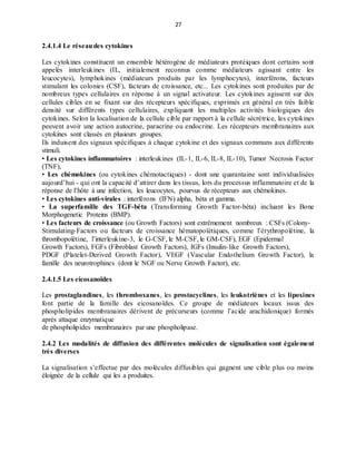 27
2.4.1.4 Le réseaudes cytokines
Les cytokines constituent un ensemble hétérogène de médiateurs protéiques dont certains sont
appelés interleukines (IL, initialement reconnus comme médiateurs agissant entre les
leucocytes), lymphokines (médiateurs produits par les lymphocytes), interférons, facteurs
stimulant les colonies (CSF), facteurs de croissance, etc... Les cytokines sont produites par de
nombreux types cellulaires en réponse à un signal activateur. Les cytokines agissent sur des
cellules cibles en se fixant sur des récepteurs spécifiques, exprimés en général en très faible
densité sur différents types cellulaires, expliquant les multiples activités biologiques des
cytokines. Selon la localisation de la cellule cible par rapport à la cellule sécrétrice, les cytokines
peuvent avoir une action autocrine, paracrine ou endocrine. Les récepteurs membranaires aux
cytokines sont classés en plusieurs groupes.
Ils induisent des signaux spécifiques à chaque cytokine et des signaux communs aux différents
stimuli.
• Les cytokines inflammatoires : interleukines (IL-1, IL-6, IL-8, IL-10), Tumor Necrosis Factor
(TNF),
• Les chémokines (ou cytokines chémotactiques) - dont une quarantaine sont individualisées
aujourd’hui - qui ont la capacité d’attirer dans les tissus, lors du processus inflammatoire et de la
réponse de l’hôte à une infection, les leucocytes, pourvus de récepteurs aux chémokines.
• Les cytokines anti-virales : interférons (IFN) alpha, béta et gamma.
• La superfamille des TGF-béta (Transforming Growth Factor-béta) incluant les Bone
Morphogenetic Proteins (BMP).
• Les facteurs de croissance (ou Growth Factors) sont extrêmement nombreux : CSFs (Colony-
Stimulating-Factors ou facteurs de croissance hématopoïétiques, comme l’érythropoïétine, la
thrombopoïétine, l’interleukine-3, le G-CSF, le M-CSF, le GM-CSF), EGF (Epidermal
Growth Factors), FGFs (Fibroblast Growth Factors), IGFs (Insulin-like Growth Factors),
PDGF (Platelet-Derived Growth Factor), VEGF (Vascular Endothelium Growth Factor), la
famille des neurotrophines (dont le NGF ou Nerve Growth Factor), etc.
2.4.1.5 Les eicosanoïdes
Les prostaglandines, les thromboxanes, les prostacyclines, les leukotriènes et les lipoxines
font partie de la famille des eicosanoïdes. Ce groupe de médiateurs locaux issus des
phospholipides membranaires dérivent de précurseurs (comme l’acide arachidonique) formés
après attaque enzymatique
de phospholipides membranaires par une phospholipase.
2.4.2 Les modalités de diffusion des différentes molécules de signalisation sont également
très diverses
La signalisation s’effectue par des molécules diffusibles qui gagnent une cible plus ou moins
éloignée de la cellule qui les a produites.
 