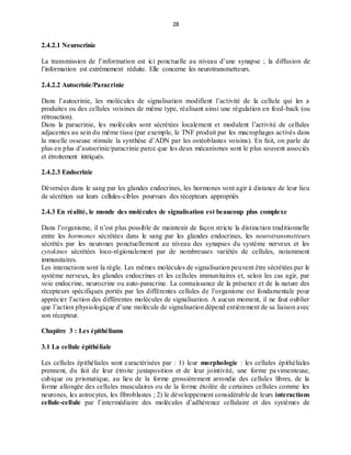 28
2.4.2.1 Neurocrinie
La transmission de l’information est ici ponctuelle au niveau d’une synapse ; la diffusion de
l’information est extrêmement réduite. Elle concerne les neurotransmetteurs.
2.4.2.2 Autocrinie/Paracrinie
Dans l’autocrinie, les molécules de signalisation modifient l’activité de la cellule qui les a
produites ou des cellules voisines de même type, réalisant ainsi une régulation en feed-back (ou
rétroaction).
Dans la paracrinie, les molécules sont sécrétées localement et modulent l’activité de cellules
adjacentes au sein du même tissu (par exemple, le TNF produit par les macrophages activés dans
la moelle osseuse stimule la synthèse d’ADN par les ostéoblastes voisins). En fait, on parle de
plus en plus d’autocrinie/paracrinie parce que les deux mécanismes sont le plus souvent associés
et étroitement intriqués.
2.4.2.3 Endocrinie
Déversées dans le sang par les glandes endocrines, les hormones vont agir à distance de leur lieu
de sécrétion sur leurs cellules-cibles pourvues des récepteurs appropriés
2.4.3 En réalité, le monde des molécules de signalisation est beaucoup plus complexe
Dans l’organisme, il n’est plus possible de maintenir de façon stricte la distinction traditionnelle
entre les hormones sécrétées dans le sang par les glandes endocrines, les neurotransmetteurs
sécrétés par les neurones ponctuellement au niveau des synapses du système nerveux et les
cytokines sécrétées loco-régionalement par de nombreuses variétés de cellules, notamment
immunitaires.
Les interactions sont la règle. Les mêmes molécules de signalisation peuvent être sécrétées par le
système nerveux, les glandes endocrines et les cellules immunitaires et, selon les cas agir, par
voie endocrine, neurocrine ou auto-paracrine. La connaissance de la présence et de la nature des
récepteurs spécifiques portés par les différentes cellules de l’organisme est fondamentale pour
apprécier l’action des différentes molécules de signalisation. A aucun moment, il ne faut oublier
que l’action physiologique d’une molécule de signalisation dépend entièrement de sa liaison avec
son récepteur.
Chapitre 3 : Les épithéliums
3.1 La cellule épithéliale
Les cellules épithéliales sont caractérisées par : 1) leur morphologie : les cellules épithéliales
prennent, du fait de leur étroite juxtaposition et de leur jointivité, une forme pavimenteuse,
cubique ou prismatique, au lieu de la forme grossièrement arrondie des cellules libres, de la
forme allongée des cellules musculaires ou de la forme étoilée de certaines cellules comme les
neurones, les astrocytes, les fibroblastes ; 2) le développement considérable de leurs interactions
cellule-cellule par l’intermédiaire des molécules d’adhérence cellulaire et des systèmes de
 