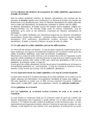 30
3.1.2 Les filaments intermédiaires du cytosquelette des cellules épithéliales appartiennent à
la famille des kératines
Dans les cellules épithéliales humaines, les filaments intermédiaires sont constitués par des
polymères de kératine (appelée aussi cytokératine). Les filaments de kératine sont attachés aux
desmosomes et aux hémidesmosomes. Ainsi, les filaments intermédiaires de cellules adjacentes
sont en contact par l’intermédiaire des desmosomes permettant la cohésion entre les cellules.
Les filaments intermédiaires de kératine peuvent être visualisés dans le cytoplasme cellulaire par
immunocytochimie avec des anticorps dirigés contre les diverses cytokératines. Tous les
épithéliums, qu’ils soient ou non kératinisés, contiennent des filaments intermédiaires de
cytokératine.
Par contre, les cellules épithéliales sont normalement dépourvues des filaments intermédiaires
caractéristiques d’autres types cellulaires : vimentine (cellules conjonctives), desmine (cellules
musculaires), GFA (astrocytes), neurofilaments (cellules nerveuses). Des filaments
intermédiaires de lamine se trouvent à l’intérieur du noyau de toutes les cellules.
3.1.3 Le pôle apical des cellules épithéliales présente des différenciations
Les microvillosités apicales sont banales ; il s’agit de petites expansions cytoplasmiques plus ou
moins nombreuses, de longueur et de disposition irrégulières que l’on observe au pôle apical des
cellules de nombreux épithéliums, qu’ils soient de revêtement ou glandulaires.
Directement au contact du milieu extérieur ou de la lumière des cavités de l’organisme, le pôle
apical des cellules épithéliales de revêtement peut être le siège de diverses différenciations (dites
différenciations apicales), déjà visibles en MO, mais surtout bien identifiables en ME (voir les
épithéliums de revêtement section 3.2 page 45).
Le pôle apical des cellules glandulaires, qu’elles fassent partie d’un épithélium de revêtement ou
d’un épithélium glandulaire, est - sauf exceptions - le siège des vésicules de sécrétion et de leur
extrusion, le plus souvent par exocytose (voir les épithéliums glandulaires).
3.1.4 La région latéro-basale des cellules épithéliales est le siège de systèmes de jonction
La région latéro-basale de la membrane plasmique de la cellule épithéliale est en contact avec les
cellules adjacentes par l’intermédiaire du compartiment basolatéral de l’espace para-cellulaire.
Elle entre également en contact avec la MEC du tissu conjonctif sous-jacent. L’adhérence
cellule-cellule et cellule-MEC résulte de la redistribution sélective des molécules d’adhérence
3.2 Les épithéliums de revêtement
3.2.1 Les épithéliums de revêtement revêtent l’extérieur du corps et les cavités de
l’organisme
Le corps humain est entièrement limité par le revêtement cutané (la peau) qui constitue une
interface fondamentale entre l’organisme (« monde intérieur ») et le milieu extérieur (« monde
extérieur »). A l’intérieur du corps, existent de nombreuses cavités de plusieurs types : les unes
représentent des prolongements du monde extérieur à l’intérieur du corps (par exemple, les voies
aériennes, le tube digestif, les voies urinaires et les voies génitales), le revêtement de ces cavités
 