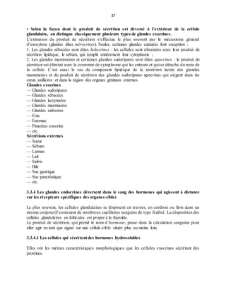 37
• Selon la façon dont le produit de sécrétion est déversé à l’extérieur de la cellule
glandulaire, on distingue classiquement plusieurs types de glandes exocrines.
L’extrusion du produit de sécrétion s’effectue le plus souvent par le mécanisme général
d’exocytose (glandes dites mérocrines). Seules, certaines glandes cutanées font exception :
1. Les glandes sébacées sont dites holocrines : les cellules sont éliminées avec leur produit de
sécrétion lipidique, le sébum, qui remplit entièrement leur cytoplasme ;
2. Les glandes mammaires et certaines glandes sudoripares sont dites apocrines : le produit de
sécrétion est éliminé avec la couronne de cytoplasme qui les entoure et qui se détache du reste de
la cellule. C’est aussi le cas du composant lipidique de la sécrétion lactée des glandes
mammaires et du produit de sécrétion des glandes sudoripares apocrines qui siègent dans les
creux axillaires et dans la région des organes génitaux externes.
Glandes exocrines
— Glandes sudoripares
— Glandes sébacées
— Glandes lacrymales
— Glandes mammaires
— Glandes salivaires
— Foie
— Estomac
— Pancréas exocrine
— etc.
Sécrétions externes
— Sueur
— Sébum
— Larmes
— Lait
— Salive
— Bile
— Suc gastrique
— Suc pancréatique
— etc.
3.3.4 Les glandes endocrines déversent dans le sang des hormones qui agissent à distance
sur les récepteurs spécifiques des organes-cibles
Le plus souvent, les cellules glandulaires se disposent en travées, en cordons ou îlots dans un
stroma conjonctif contenant de nombreux capillaires sanguins de type fenêtré. La disposition des
cellules glandulaires en follicules est propre à la thyroïde.
Le produit de sécrétion, qui prend le nom d’hormone, passe dans la circulation sanguine pour
aller agir en tant que signal sur une cellule-cible située plus ou moins loin.
3.3.4.1 Les cellules qui sécrètent des hormones hydrosolubles
Elles ont les mêmes caractéristiques morphologiques que les cellules exocrines sécrétant des
protéines.
 