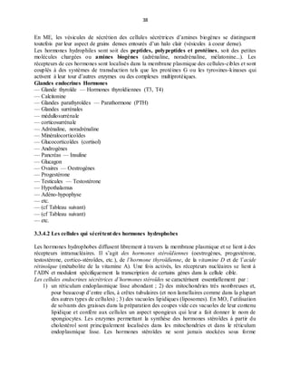 38
En ME, les vésicules de sécrétion des cellules sécrétrices d’amines biogènes se distinguent
toutefois par leur aspect de grains denses entourés d’un halo clair (vésicules à coeur dense).
Les hormones hydrophiles sont soit des peptides, polypeptides et protéines, soit des petites
molécules chargées ou amines biogènes (adrénaline, noradrénaline, mélatonine...). Les
récepteurs de ces hormones sont localisés dans la membrane plasmique des cellules-cibles et sont
couplés à des systèmes de transduction tels que les protéines G ou les tyrosines-kinases qui
activent à leur tour d’autres enzymes ou des complexes multiprotéiques.
Glandes endocrines Hormones
— Glande thyroïde — Hormones thyroïdiennes (T3, T4)
— Calcitonine
— Glandes parathyroïdes — Parathormone (PTH)
— Glandes surrénales
— médullosurrénale
— corticosurrénale
— Adrénaline, noradrénaline
— Minéralocorticoïdes
— Glucocorticoïdes (cortisol)
— Androgènes
— Pancréas — Insuline
— Glucagon
— Ovaires — Oestrogènes
— Progestérone
— Testicules — Testostérone
— Hypothalamus
— Adéno-hypophyse
— etc.
— (cf Tableau suivant)
— (cf Tableau suivant)
— etc.
3.3.4.2 Les cellules qui sécrètent des hormones hydrophobes
Les hormones hydrophobes diffusent librement à travers la membrane plasmique et se lient à des
récepteurs intranucléaires. Il s’agit des hormones stéroïdiennes (oestrogènes, progestérone,
testostérone, cortico-stéroïdes, etc.), de l’hormone thyroïdienne, de la vitamine D et de l’acide
rétinoïque (métabolite de la vitamine A). Une fois activés, les récepteurs nucléaires se lient à
l’ADN et modulent spécifiquement la transcription de certains gènes dans la cellule cible.
Les cellules endocrines sécrétrices d’hormones stéroïdes se caractérisent essentiellement par :
1) un réticulum endoplasmique lisse abondant ; 2) des mitochondries très nombreuses et,
pour beaucoup d’entre elles, à crêtes tubulaires (et non lamellaires comme dans la plupart
des autres types de cellules) ; 3) des vacuoles lipidiques (liposomes). En MO, l’utilisation
de solvants des graisses dans la préparation des coupes vide ces vacuoles de leur contenu
lipidique et confère aux cellules un aspect spongieux qui leur a fait donner le nom de
spongiocytes. Les enzymes permettant la synthèse des hormones stéroïdes à partir du
cholestérol sont principalement localisées dans les mitochondries et dans le réticulum
endoplasmique lisse. Les hormones stéroïdes ne sont jamais stockées sous forme
 