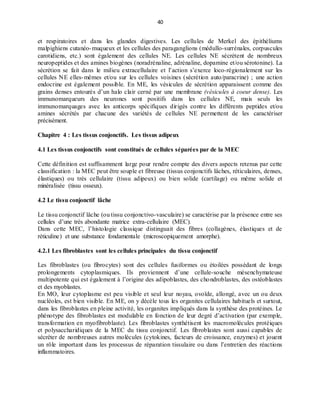 40
et respiratoires et dans les glandes digestives. Les cellules de Merkel des épithéliums
malpighiens cutanéo-muqueux et les cellules des paraganglions (médullo-surrénales, corpuscules
carotidiens, etc.) sont également des cellules NE. Les cellules NE sécrètent de nombreux
neuropeptides et des amines biogènes (noradrénaline, adrénaline, dopamine et/ou sérotonine). La
sécrétion se fait dans le milieu extracellulaire et l’action s’exerce loco-régionalement sur les
cellules NE elles-mêmes et/ou sur les cellules voisines (sécrétion auto/paracrine) ; une action
endocrine est également possible. En ME, les vésicules de sécrétion apparaissent comme des
grains denses entourés d’un halo clair cerné par une membrane (vésicules à coeur dense). Les
immunomarqueurs des neurones sont positifs dans les cellules NE, mais seuls les
immunomarquages avec les anticorps spécifiques dirigés contre les différents peptides et/ou
amines sécrétés par chacune des variétés de cellules NE permettent de les caractériser
précisément.
Chapitre 4 : Les tissus conjonctifs. Les tissus adipeux
4.1 Les tissus conjonctifs sont constitués de cellules séparées par de la MEC
Cette définition est suffisamment large pour rendre compte des divers aspects retenus par cette
classification : la MEC peut être souple et fibreuse (tissus conjonctifs lâches, réticulaires, denses,
élastiques) ou très cellulaire (tissu adipeux) ou bien solide (cartilage) ou même solide et
minéralisée (tissu osseux).
4.2 Le tissu conjonctif lâche
Le tissu conjonctif lâche (ou tissu conjonctivo-vasculaire) se caractérise par la présence entre ses
cellules d’une très abondante matrice extra-cellulaire (MEC).
Dans cette MEC, l’histologie classique distinguait des fibres (collagènes, élastiques et de
réticuline) et une substance fondamentale (microscopiquement amorphe).
4.2.1 Les fibroblastes sont les cellules principales du tissu conjonctif
Les fibroblastes (ou fibrocytes) sont des cellules fusiformes ou étoilées possédant de longs
prolongements cytoplasmiques. Ils proviennent d’une cellule-souche mésenchymateuse
multipotente qui est également à l’origine des adipoblastes, des chondroblastes, des ostéoblastes
et des myoblastes.
En MO, leur cytoplasme est peu visible et seul leur noyau, ovoïde, allongé, avec un ou deux
nucléoles, est bien visible. En ME, on y décèle tous les organites cellulaires habituels et surtout,
dans les fibroblastes en pleine activité, les organites impliqués dans la synthèse des protéines. Le
phénotype des fibroblastes est modulable en fonction de leur degré d’activation (par exemple,
transformation en myofibroblaste). Les fibroblastes synthétisent les macromolécules protéiques
et polysaccharidiques de la MEC du tissu conjonctif. Les fibroblastes sont aussi capables de
sécréter de nombreuses autres molécules (cytokines, facteurs de croissance, enzymes) et jouent
un rôle important dans les processus de réparation tissulaire ou dans l’entretien des réactions
inflammatoires.
 