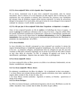 41
4.2.2 Le tissu conjonctif lâche est très répandu dans l’organisme
On en trouve, notamment sous la peau (tissu conjonctif sous-cutané), entre les masses
musculaires, dans le chorion et la sous-muqueuse du tube digestif, dans le chorion des voies
respiratoires, des voies génitales et urinaires, dans l’adventice des vaisseaux, sous l’épithélium
des séreuses, dans de nombreux organes pleins (stroma conjonctif). Le terme de parenchyme
désigne le tissu propre d’un viscère plein, alors que le terme de stroma désigne le tissu conjonctif
contenant les vaisseaux et nerfs destinés au parenchyme.
4.2.3 Le rôle que joue le tissu conjonctif lâche dans l’organisme est important et complexe
Ainsi, le tissu conjonctif possède un rôle de soutien et d’emballage des tissus et organes ; il
assure le passage de nombreuses substances entre le sang et les tissus ; siège des cellules libres
du système immunitaire (lymphocytes et plasmocytes, monocytes et macrophages, granulocytes,
mastocytes), il joue un rôle majeur dans les réactions inflammatoires et dans les phénomènes
immunitaires ainsi que dans les processus de cicatrisation (par prolifération des fibroblastes et
production des macromolécules de la MEC).
4.3 Le tissu réticulaire
Le tissu réticulaire (ou réticulé) correspond au tissu conjonctif qui constitue le stroma des
organes hématopoïétiques et lymphoïdes (ganglions lymphatiques, rate, moelle osseuse), du foie
et du rein ; sa charpente collagène, principalement faite de collagène de type III, peut être
visualisée en MO après coloration argentique sous la forme d’un réseau de fines fibres colorées
en noir, dites fibres de réticuline. En ME, le collagène III apparaît sous forme de fins
microfilaments apériodiques, dispersés dans une matrice riche en protéoglycanes.
4.4 Les tissus conjonctifs denses
Les tissus conjonctifs riches en fibres, pauvres en cellules et en substance fondamentale, ont une
fonction essentiellement mécanique.
4.4.1 Les tissus conjonctifs fibreux denses
Ils contiennent essentiellement des fibres de collagène ; ils se répartissent en deux sous-groupes :
1. es tissus fibreux non orientés (derme, périoste, capsules articulaires, dure-mère, capsules des
organes pleins (comme le foie, la rate, les reins, etc) ;
2. les tissus fibreux orientés (unitendus : ligaments et tendons, ou bitendus : aponévroses et
stroma de la cornée).
4.4.2 Les tissus élastiques
Les fibres (ou lames) élastiques y prédominent largement, entre de rares fibroblastes ou entre les
cellules musculaires lisses (comme dans la média des artères de gros calibre).
 