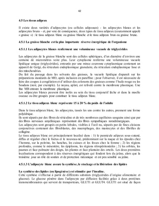 42
4.5 Les tissus adipeux
Il existe deux variétés d’adipocytes (ou cellules adipeuses) - les adipocytes blancs et les
adipocytes bruns - et, par voie de conséquence, deux types de tissu adipeux (couramment appelé
« graisse ») : le tissu adipeux blanc ou graisse blanche et le tissu adipeux brun ou graisse brune.
4.5.1 La graisse blanche est la plus importante réserve énergétique de l’organisme
4.5.1.1 Les adipocytes blancs renferment une volumineuse vacuole de triglycérides
Les adipocytes de la graisse blanche sont des cellules sphériques, d’un diamètre d’environ une
centaine de micromètres voire plus. Leur cytoplasme renferme une volumineuse vacuole
lipidique unique (triglycérides), entourée par une mince couronne cytoplasmique contenant un
appareil de Golgi, du réticulum endoplasmique granulaire, du réticulum endoplasmique lisse et
des mitochondries.
Du fait du passage dans les solvants des graisses, la vacuole lipidique disparaît sur les
préparations standards de MO, après inclusion en paraffine ; pour l’observer, il est nécessaire de
faire des coupes à congélation et d’utiliser des colorants des graisses comme l’huile rouge ou les
Soudans (noir, par exemple). Le noyau, aplati, est refoulé contre la membrane plasmique. Une
fine MB entoure la membrane plasmique.
Les adipocytes blancs peuvent être isolés au sein du tissu conjonctif lâche et dans la moelle
osseuse ou être groupés pour constituer le tissu adipeux blanc.
4.5.1.2 Le tissu adipeux blanc représente 15 à 20 % du poids de l’adulte
Dans le tissu adipeux blanc, les adipocytes, tassés les uns contre les autres, prennent une forme
polyédrique.
Ils sont séparés par des fibres de réticuline et de très nombreux capillaires sanguins ainsi que par
des fibres nerveuses amyéliniques représentant des fibres sympathiques noradrénergiques.
Les adipocytes sont groupés en petits lobules, visibles à l’oeil nu, séparés par de fines cloisons
conjonctives contenant des fibroblastes, des macrophages, des mastocytes et des fibrilles de
collagène.
Le tissu adipeux blanc est principalement localisé dans : 1) le pannicule adipeux sous-cutané,
diffus et régulier chez le foetus et le nouveau-né, prédominant sur la nuque et les épaules chez
l’homme, sur la poitrine, les hanches, les cuisses et les fesses chez la femme ; 2) les régions
profondes, comme le mésentère, les épiploons, les régions rétropéritonéales ; 3) les orbites, les
paumes et face palmaire des doigts, les plantes et face plantaire des orteils. Les deux premières
localisations correspondent à des réserves énergétiques qui fondent lors du jeûne, alors que la
troisième joue un rôle de soutien et de protection mécanique et est peu sensible au jeûne.
4.5.1.3 L’adipocyte blanc assure la synthèse, le stockage et la libération des lipides
La synthèse des lipides (ou lipogénèse) est stimulée par l’insuline.
Cette synthèse s’effectue à partir de différents substrats (triglycérides d’origine alimentaire et
glucose). Le glucose pénètre dans l’adipocyte par diffusion facilitée grâce à deux protéines
transmembranaires qui servent de transporteurs, GLUT1 et GLUT4. GLUT1 est situé de façon
 