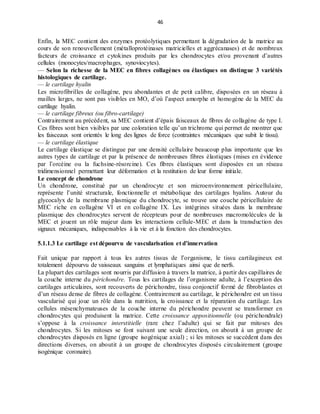 46
Enfin, la MEC contient des enzymes protéolytiques permettant la dégradation de la matrice au
cours de son renouvellement (métalloprotéinases matricielles et aggrécanases) et de nombreux
facteurs de croissance et cytokines produits par les chondrocytes et/ou provenant d’autres
cellules (monocytes/macrophages, synoviocytes).
— Selon la richesse de la MEC en fibres collagènes ou élastiques on distingue 3 variétés
histologiques de cartilage.
— le cartilage hyalin
Les microfibrilles de collagène, peu abondantes et de petit calibre, disposées en un réseau à
mailles larges, ne sont pas visibles en MO, d’où l’aspect amorphe et homogène de la MEC du
cartilage hyalin.
— le cartilage fibreux (ou fibro-cartilage)
Contrairement au précédent, sa MEC contient d’épais faisceaux de fibres de collagène de type I.
Ces fibres sont bien visibles par une coloration telle qu’un trichrome qui permet de montrer que
les faisceaux sont orientés le long des lignes de force (contraintes mécaniques que subit le tissu).
— le cartilage élastique
Le cartilage élastique se distingue par une densité cellulaire beaucoup plus importante que les
autres types de cartilage et par la présence de nombreuses fibres élastiques (mises en évidence
par l’orcéine ou la fuchsine-résorcine). Ces fibres élastiques sont disposées en un réseau
tridimensionnel permettant leur déformation et la restitution de leur forme initiale.
Le concept de chondrone
Un chondrone, constitué par un chondrocyte et son microenvironnement péricellulaire,
représente l’unité structurale, fonctionnelle et métabolique des cartilages hyalins. Autour du
glycocalyx de la membrane plasmique du chondrocyte, se trouve une couche péricellulaire de
MEC riche en collagène VI et en collagène IX. Les intégrines situées dans la membrane
plasmique des chondrocytes servent de récepteurs pour de nombreuses macromolécules de la
MEC et jouent un rôle majeur dans les interactions cellule-MEC et dans la transduction des
signaux mécaniques, indispensables à la vie et à la fonction des chondrocytes.
5.1.1.3 Le cartilage est dépourvu de vascularisation et d’innervation
Fait unique par rapport à tous les autres tissus de l’organisme, le tissu cartilagineux est
totalement dépourvu de vaisseaux sanguins et lymphatiques ainsi que de nerfs.
La plupart des cartilages sont nourris par diffusion à travers la matrice, à partir des capillaires de
la couche interne du périchondre. Tous les cartilages de l’organisme adulte, à l’exception des
cartilages articulaires, sont recouverts de périchondre, tissu conjonctif formé de fibroblastes et
d’un réseau dense de fibres de collagène. Contrairement au cartilage, le périchondre est un tissu
vascularisé qui joue un rôle dans la nutrition, la croissance et la réparation du cartilage. Les
cellules mésenchymateuses de la couche interne du périchondre peuvent se transformer en
chondrocytes qui produisent la matrice. Cette croissance appositionnelle (ou périchondrale)
s’oppose à la croissance interstitielle (rare chez l’adulte) qui se fait par mitoses des
chondrocytes. Si les mitoses se font suivant une seule direction, on aboutit à un groupe de
chondrocytes disposés en ligne (groupe isogénique axial) ; si les mitoses se succèdent dans des
directions diverses, on aboutit à un groupe de chondrocytes disposés circulairement (groupe
isogénique coronaire).
 