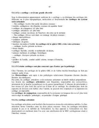47
5.1.1.4 Le « cartilage » revêt une grande diversité
Sous la dénomination apparemment uniforme de « cartilage », on distingue des cartilages très
différents sur le plan topographique, moléculaire et fonctionnelle les cartilages du système
ostéo-articulaire
— Des cartilages hyalins font partie des pièces osseuses :
• modèles cartilagineux des ébauches osseuses du squelette foetal
• cartilages de conjugaison (cf. plus loin)
• cartilages articulaires (cf. plus loin)
• cartilages costaux (au niveau de l’insertion des côtes sur le sternum)
— Des cartilages fibreux sont situés au voisinage de pièces osseuses :
• disques intervertébraux
• symphyse pubienne
• ménisques du genou
• insertion du tendon d’Achille les cartilages de la sphère ORL et des voies aériennes
— cartilages hyalins présents au niveau :
• fosses nasales,
• cartilages thyroïde, cricoïde et arythénoïde du larynx,
• anneaux trachéaux et cartilages bronchiques
— cartilages élastiques présents au niveau :
• nez,
• pavillon de l’oreille, conduit auditif externe, trompes d’Eustache,
• épiglotte
5.1.1.5 Certains cartilages sont plus concernés que d’autres par la pathologie
Chez l’homme, les cartilages de la sphère ORL et de l’arbre trachéo-bronchique ne font pas
vraiment parler d’eux.
Les fibrocartilages sont sujets à des pathologies relativement fréquentes (hernies discales,
fractures des ménisques).
Par contre, les cartilages articulaires et de croissance présentent un intérêt médical prépondérant.
Les lésions des cartilages articulaires sont fréquentes, responsables des ostéoarthrites,
notamment de la hanche (coxarthrose) ou du genou (gonarthrose). L’absence de périchondre à
leur niveau (cf. plus loin) fait qu’en cas d’usure de ce cartilage, les chondrocytes, dont les
capacités de division sont faibles chez l’adulte, ne peuvent être remplacés et la réparation du
cartilage est impossible.
Les cartilages de conjugaison, responsables de la croissance en longueur des os (cf. plus loin)
sont le siège de multiples pathologies, en particulier d’origine génétique.
5.1.2 Le cartilage articulaire
Les cartilages articulaires sont localisés électivement au niveau des articulations mobiles. La face
articulaire forme l’interface entre les deux pièces osseuses. Ainsi, les cartilages articulaires
assurent le jeu et la mobilité de l’articulation. La face opposée à l’articulation (ou face
abarticulaire) est enchâssée dans l’os avec une calcification de la MEC cartilagineuse située à
l’interface osseuse.
 