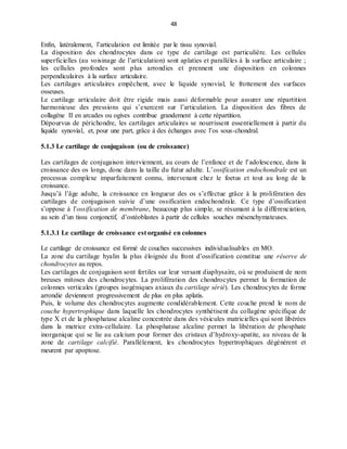 48
Enfin, latéralement, l’articulation est limitée par le tissu synovial.
La disposition des chondrocytes dans ce type de cartilage est particulière. Les cellules
superficielles (au voisinage de l’articulation) sont aplaties et parallèles à la surface articulaire ;
les cellules profondes sont plus arrondies et prennent une disposition en colonnes
perpendiculaires à la surface articulaire.
Les cartilages articulaires empêchent, avec le liquide synovial, le frottement des surfaces
osseuses.
Le cartilage articulaire doit être rigide mais aussi déformable pour assurer une répartition
harmonieuse des pressions qui s’exercent sur l’articulation. La disposition des fibres de
collagène II en arcades ou ogives contribue grandement à cette répartition.
Dépourvus de périchondre, les cartilages articulaires se nourrissent essentiellement à partir du
liquide synovial, et, pour une part, grâce à des échanges avec l’os sous-chondral.
5.1.3 Le cartilage de conjugaison (ou de croissance)
Les cartilages de conjugaison interviennent, au cours de l’enfance et de l’adolescence, dans la
croissance des os longs, donc dans la taille du futur adulte. L’ossification endochondrale est un
processus complexe imparfaitement connu, intervenant chez le foetus et tout au long de la
croissance.
Jusqu’à l’âge adulte, la croissance en longueur des os s’effectue grâce à la prolifération des
cartilages de conjugaison suivie d’une ossification endochondrale. Ce type d’ossification
s’oppose à l’ossification de membrane, beaucoup plus simple, se résumant à la différenciation,
au sein d’un tissu conjonctif, d’ostéoblastes à partir de cellules souches mésenchymateuses.
5.1.3.1 Le cartilage de croissance est organisé en colonnes
Le cartilage de croissance est formé de couches successives individualisables en MO.
La zone du cartilage hyalin la plus éloignée du front d’ossification constitue une réserve de
chondrocytes au repos.
Les cartilages de conjugaison sont fertiles sur leur versant diaphysaire, où se produisent de nom
breuses mitoses des chondrocytes. La prolifération des chondrocytes permet la formation de
colonnes verticales (groupes isogéniques axiaux du cartilage sérié). Les chondrocytes de forme
arrondie deviennent progressivement de plus en plus aplatis.
Puis, le volume des chondrocytes augmente condidérablement. Cette couche prend le nom de
couche hypertrophique dans laquelle les chondrocytes synthétisent du collagène spécifique de
type X et de la phosphatase alcaline concentrée dans des vésicules matricielles qui sont libérées
dans la matrice extra-cellulaire. La phosphatase alcaline permet la libération de phosphate
inorganique qui se lie au calcium pour former des cristaux d’hydroxy-apatite, au niveau de la
zone de cartilage calcifié. Parallèlement, les chondrocytes hypertrophiques dégénèrent et
meurent par apoptose.
 