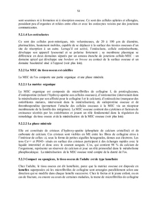 51
sont soumises ni à formation ni à résorption osseuse. Ce sont des cellules aplaties et allongées,
possédant peu d’organites et reliées entre elles et avec les ostéocytes voisins par des jonctions
communicantes.
5.2.1.4 Les ostéoclastes
Ce sont des cellules post-mitotiques, très volumineuses, de 20 à 100 μm de diamètre,
plurinucléées, hautement mobiles, capable de se déplacer à la surface des travées osseuses d’un
site de résorption à un autre. Lorsqu’il est activé, l’ostéoclaste, cellule ostéorésorbante,
développe son appareil lysosomal et se polarise fortement ; sa membrane plasmique se
différencie en deux domaines séparés par un anneau étanche de jonctions cellule-MEC : un
domaine apical qui développe une bordure en brosse au contact de la surface osseuse et un
domaine basolatéral situé à l’opposé (voir plus loin).
5.2.2 La MEC du tissu osseux est calcifiée
La MEC de l’os comporte une partie organique et une phase minérale.
5.2.2.1 La matrice organique
La MEC organique est composée de microfibrilles de collagène I, de protéoglycanes,
d’ostéopontine (reliant l’hydroxy-apatite aux cellules osseuses), d’ostéonectine (intervenant dans
la minéralisation par son affinité pour le collagène I et le calcium), d’ostéocalcine (marqueur des
ostéoblastes matures, intervenant dans la minéralisation), de sialoprotéine osseuse et de
thrombospondine (permettant l’attache des cellules osseuses à la MEC via un récepteur
membranaire de la famille des intégrines). La MEC osseuse contient des cytokines et facteurs de
croissance sécrétés par les ostéoblastes et jouant un rôle fondamental dans la régulation du
remodelage du tissu osseux et de la minéralisation de la MEC osseuse (voir plus loin).
5.2.2.2 La phase minérale
Elle est constituée de cristaux d’hydroxy-apatite (phosphate de calcium cristallisé) et de
carbonate de calcium. Ces cristaux sont visibles en ME entre les fibres de collagène et/ou à
l’intérieur de celles- ci, sous la forme de petites aiguilles hexagonales, denses aux électrons. Les
ions Ca++ et PO43- situés en surface des cristaux participent à des échanges rapides avec le
liquide interstitiel et donc avec le courant sanguin. L’os, qui contient 98 % du calcium de
l’organisme, représente un réservoir de calcium et joue un rôle primordial dans le métabolisme
phosphocalcique. La minéralisation de la MEC osseuse rend compte de la dureté de l’os.
5.2.3 Compact ou spongieux, le tissu osseux de l’adulte est de type lamellaire
Chez l’adulte, le tissu osseux est dit lamellaire, parce que la matrice osseuse est disposée en
lamelles superposées où les microfibrilles de collagène sont arrangées parallèlement selon une
direction qui se modifie dans chaque lamelle successive. Chez le foetus et le jeune enfant, ou en
cas de fracture, ou encore au cours de certaines maladies, la trame de microfibrilles de collagène
 