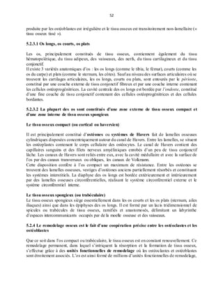 52
produite par les ostéoblastes est irrégulière et le tissu osseux est transitoirement non-lamellaire («
tissu osseux tissé »).
5.2.3.1 Os longs, os courts, os plats
Les os, principalement constitués de tissu osseux, contiennent également du tissu
hématopoïétique, du tissu adipeux, des vaisseaux, des nerfs, du tissu cartilagineux et du tissu
conjonctif.
Il existe 3 variétés anatomiques d’os : les os longs (comme le tibia, le fémur), courts (comme les
os du carpe) et plats (comme le sternum, les côtes). Sauf au niveau des surfaces articulaires où se
trouvent les cartilages articulaires, les os longs, courts ou plats, sont entourés par le périoste,
constitué par une couche externe de tissu conjonctif fibreux et par une couche interne contenant
les cellules ostéoprogénitrices. La cavité centrale des os longs est bordée par l’endoste, constitué
d’une fine couche de tissu conjonctif contenant des cellules ostéoprogénitrices et des cellules
bordantes.
5.2.3.2 La plupart des os sont constitués d’une zone externe de tissu osseux compact et
d’une zone interne de tissu osseux spongieux
Le tissu osseux compact (ou cortical ou haversien)
Il est principalement constitué d’ostéones ou systèmes de Havers fait de lamelles osseuses
cylindriques disposées concentriquement autour du canal de Havers. Entre les lamelles, se situent
les ostéoplastes contenant le corps cellulaire des ostéocytes. Le canal de Havers contient des
capillaires sanguins et des filets nerveux amyéliniques enrobés d’un peu de tissu conjonctif
lâche. Les canaux de Havers sont reliés entre eux, avec la cavité médullaire et avec la surface de
l’os par des canaux transversaux ou obliques, les canaux de Volkmann.
Cette disposition confère à l’os compact un maximum de résistance. Entre les ostéones se
trouvent des lamelles osseuses, vestiges d’ostéones anciens partiellement résorbés et constituant
les systèmes interstitiels. La diaphyse des os longs est bordée extérieurement et intérieurement
par des lamelles osseuses circonférentielles, réalisant le système circonférentiel externe et le
système circonférentiel interne.
Le tissu osseux spongieux (ou trabéculaire)
Le tissu osseux spongieux siège essentiellement dans les os courts et les os plats (sternum, ailes
iliaques) ainsi que dans les épiphyses des os longs. Il est formé par un lacis tridimensionnel de
spicules ou trabécules de tissu osseux, ramifiés et anastomosés, délimitant un labyrinthe
d’espaces intercommunicants occupés par de la moelle osseuse et des vaisseaux.
5.2.4 Le remodelage osseux est le fait d’une coopération précise entre les ostéoclastes et les
ostéoblastes
Que ce soit dans l’os compact ou trabéculaire, le tissu osseux est en constant renouvellement. Ce
remodelage permanent, dans lequel s’intriquent la résorption et la formation de tissu osseux,
s’effectue grâce à des unités fonctionnelles de remodelage où les ostéoclastes et ostéoblastes
sont étroitement associés. L’os est ainsi formé de millions d’unités fonctionnelles de remodelage,
 