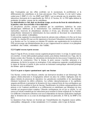 55
dans l’ostéogénèse par des effets combinés sur le recrutement, la prolifération et la
différenciation des ostéoblastes et de leurs précurseurs. Chez l’homme, il a été isolé 8 gènes
codant pour 8 BMP (1 à 8). Les BMP (sauf BMP-1 qui ne présente pas de propriétés ostéo-
inductrices) font partie de la superfamille des TGF-β. A l’inverse, IL1 et TNF-alpha inhibent la
production de matrice osseuse par les ostéoblastes.
La minéralisation se fait, dans un deuxième temps, au niveau du front de minéralisation, à
la jonction entre tissu ostéoïde et tissu minéralisé
La phosphatase alcaline, enzyme synthétisée par les ostéoblastes, hydrolyse les esters
phosphoriques inhibiteurs de la minéralisation. Les ostéoblastes produisent des vésicules
matricielles, réservoirs de phosphatases alcalines et d’ions, qui, déversées dans le milieu
extracellulaire initieraient la minéralisation du tissu ostéoïde en favorisant les concentrations
locales en ions calcium et phosphates.
L’ostéocalcine augmente la concentration locale de calcium extra-cellulaire et le fixe sur le tissu
ostéoïde. La vitamine D3 joue un rôle important en favorisant l’absorption intestinale du calcium
et sa fixation sur l’os. La carence en vitamine D3 entraîne une augmentation de la sécrétion de
PTH qui provoque une déminéralisation des os qui s’appauvrissent en calcium et en phosphore
(rachitisme chez l’enfant, ostéomalacie chez l’adulte).
5.2.5 Capital osseux et perte osseuse
Jusqu’à l’âge de 20 ans, la masse osseuse augmente progressivement. A cet âge, le capital osseux
est constitué ; il reste stable pendant quelques années, puis diminue lentement avec l’âge, chez la
femme comme chez l’homme, les mécanismes de destruction du tissu osseux l’emportant sur les
mécanismes de construction. Chez la femme, la perte osseuse s’accélère nettement à la
ménopause, du fait de la carence en oestrogènes. Cette ostéoporose augmente considérablement
le risque de fracture et justifie le plus souvent un traitement oestrogénique substitutif prolongé
des femmes après la ménopause.
5.2.6 L’os peut se réparer spontanément après une fracture
Une fracture, comme toute blessure, entraîne une destruction tissulaire et une hémorragie. Des
signaux chémo-attractants et d’angiogénèse attirent sur place les cellules impliquées dans les
phases initiales du processus de réparation. Les granulocytes neutrophiles et les macrophages
éliminent localement les débris cellulaires. Les cellules mésenchymateuses et les capillaires
sanguins prolifèrent et permettent la formation de tissu conjonctif puis de tissu cartilagineux qui
forment un cal et comblent le foyer de fracture. Parallèlement, les cellules ostéoprogénitrices (du
périoste et de l’endoste) prolifèrent et se différencient en ostéoblastes qui fabriquent du tissu
ostéoïde qui progressivement remplace l’ébauche cartilagineuse du cal qui se calcifie. Le cal
osseux est ensuite remodelé par les ostéoclastes pour restaurer la forme originale de l’os fracturé.
Ces différents événements cellulaires sont sous la dépendance de facteurs moléculaires impliqués
dans la formation des os au cours du développement (en particulier, le TGF-β, les BMP et les
IGF).
La réparation d’une fracture est favorisée par l’immobilisation des fragments osseux (plâtre,
ostéosynthèse chirurgicale) et dure normalement 6 à 12 semaines selon le type de fracture.
 