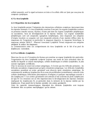 63
cellule tumorale), seul le signal activateur est émis et la cellule cible est lysée par exocytose de
composés cytolytiques.
6.3 Le tissu lymphoïde
6.3.1 Répartition du tissu lymphoïde
Le tissu lymphoïde permet l’intégration des interactions cellulaires complexes intervenant dans
les réponses immunes. Ce tissu lymphoïde constitue d’une part, les organes lymphoïdes centraux
ou primaires (moelle osseuse, thymus), d’autre part dans les organes lymphoïdes périphériques
ou secondaires, lieux de développement de la réponse immune. Les organes lymphoïdes
périphériques sont soit encapsulés (ganglions lymphatiques, rate) réagissant aux antigènes
d’origine tissulaire ou sanguine soit non encapsulés présents d’une manière diffuse dans les
muqueuses de l’organisme en particulier la muqueuse digestive, la muqueuse bronchique, la
muqueuse urinaire (MALT : Mucosal Associated Lymphoid Tissue) réagissant aux antigènes
atteignant la surface des muqueuses.
La communication entre ces compartiments du tissu lymphoïde est le fait d’un pool de
lymphocytes recirculants.
6.3.2 Les follicules lymphoïdes
Dans tous les cas et à l’exception du thymus qui constitue un organe lymphoïde très particulier,
l’organisation du tissu lymphoïde comporte toujours une trame de tissu réticulaire dans les
mailles de laquelle se situent macrophages, cellules dendritiques et cellules lymphoïdes, le plus
souvent regroupées en follicules.
Chez le nouveau-né avant tout contact antigénique, il n’existe que des follicules primaires ; les
follicules secondaires n’apparaissant qu’après stimulation antigénique. Les follicules lymphoïdes
secondaires possédant un centre germinatif sont observés après stimulation antigénique. Ils
contiennent de nombreux lymphocytes B en cours de prolifération (centroblastes), associés à des
cellules dendritiques folliculaires présentatrices d’antigène et quelques macrophages associés à
des lymphocytes T. Les centres germinatifs sont entourés d’une couronne de petits lymphocytes
de type B. Ces structures ont un rôle important dans le développement des réponses immunes
impliquant les lymphocytes B, en particulier dans la mémoire de la réponse médiée par les
lymphocytes B qui paraît être la fonction première des centres germinatifs.
Ainsi les capacités immunologiques dépendant des éléments lymphoïdes sont toujours
étroitement liées au système macrophagique qui les entoure.
 