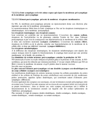 69
7.2.3.2 La fente synaptique est le très mince espace qui sépare la membrane pré-synaptique
de la membrane post-synaptique
7.2.3.3 L’élément post-synaptique présente de nombreux récepteurs membranaires
En ME, la membrane post-synaptique présente un épaississement dense aux électrons plus
important que celui de la membrane présynaptique.
Le neurotransmetteur libéré dans la fente synaptique se fixe sur les récepteurs ionotropiques ou
métabotropiques de la membrane postsynaptique.
Les récepteurs ionotropiques (ou récepteurs-canaux)
Leur ouverture est contrôlée par un neurotransmetteur. L’ouverture des canaux sodium,
récepteurs de l’acétylcholine ou du glutamate, entraîne l’entrée de Na+ dans l’élément
postsynaptique et par voie de conséquence une dépolarisation de la membrane de la cellule-cible
et donc une excitation neuronale (synapses excitatrices). L’ouverture des canaux chlore,
récepteurs du GABA ou de la glycine, entraîne une hyperpolarisation de la membrane de la
cellule-cible et donc une inhibition neuronale (synapses inhibitrices).
Les récepteurs métabotropiques
A la différence des récepteurs ionotropiques, les récepteurs métabotropiques sont séparés des
canaux ioniques dont ils règlent le fonctionnement, le couplage étant assuré par une protéine
membranaire de la famille des protéines G.
La stimulation de certains neurones post-synaptiques entraîne la production de NO
NO (monoxyde d’azote ou oxyde nitrique) est produit grâce à la présence d’une enzyme, la NO-
synthétase, qui peut être détectée par immunocytochimie. C’est par simple diffusion que NO est
libéré à travers la membrane du neurone et qu’il pénètre dans le neurone receveur.
Son rôle exact est inconnu.
Le plus souvent l’élément post-synaptique est une dendrite (synapses axo-dendritiques) ou
un corps cellulaire (synapses axo-somatiques)
Les ramifications dendritiques de certains neurones (comme les cellules pyramidales du cortex
cérébral et les cellules de Purkinje du cortex cérébelleux) sont couvertes de très nombreuses
petites protrusions, appelées épines dendritiques, qui constituent autant d’éléments post-
synaptiques différenciés.
Il existe également des synapses axo-axoniques, où une terminaison axonale présynaptique entre
en contact avec l’axone d’un autre neurone soit au niveau de son segment initial, soit tout près de
sa propre terminaison ; dans ce dernier cas, cette synapse axo-axonique sert à inhiber le
fonctionnement de la terminaison axonale sur laquelle elle fait contact (phénomène de
l’inhibition présynaptique).
Plus rarement, il s’agit de synapses dendro-dendritiques, dendro-somatiques, dendro-axoniques,
somato-dendritiques, somato-somatiques ou somato-axoniques.
 