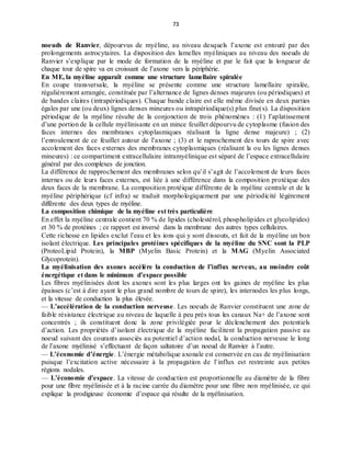 73
noeuds de Ranvier, dépourvus de myéline, au niveau desquels l’axone est entouré par des
prolongements astrocytaires. La disposition des lamelles myéliniques au niveau des noeuds de
Ranvier s’explique par le mode de formation de la myéline et par le fait que la longueur de
chaque tour de spire va en croissant de l’axone vers la périphérie.
En ME, la myéline apparaît comme une structure lamellaire spiralée
En coupe transversale, la myéline se présente comme une structure lamellaire spiralée,
régulièrement arrangée, constituée par l’alternance de lignes denses majeures (ou périodiques) et
de bandes claires (intrapériodiques). Chaque bande claire est elle même divisée en deux parties
égales par une (ou deux) lignes denses mineures ou intrapériodique(s) plus fine(s). La disposition
périodique de la myéline résulte de la conjonction de trois phénomènes : (1) l’aplatissement
d’une portion de la cellule myélinisante en un mince feuillet dépourvu de cytoplasme (fusion des
faces internes des membranes cytoplasmiques réalisant la ligne dense majeure) ; (2)
l’enroulement de ce feuillet autour de l’axone ; (3) et le raprochement des tours de spire avec
accolement des faces externes des membranes cytoplasmiques (réalisant la ou les lignes denses
mineures) : ce compartiment extracellulaire intramyélinique est séparé de l’espace extracellulaire
général par des complexes de jonction.
La différence de rapprochement des membranes selon qu’il s’agit de l’accolement de leurs faces
internes ou de leurs faces externes, est liée à une différence dans la composition protéique des
deux faces de la membrane. La composition protéique différente de la myéline centrale et de la
myéline périphérique (cf infra) se traduit morphologiquement par une périodicité légèrement
différente des deux types de myéline.
La composition chimique de la myéline est très particulière
En effet la myéline centrale contient 70 % de lipides (cholestérol, phospholipides et glycolipides)
et 30 % de protéines ; ce rapport est inversé dans la membrane des autres types cellulaires.
Cette richesse en lipides exclut l’eau et les ions qui y sont dissouts, et fait de la myéline un bon
isolant électrique. Les principales protéines spécifiques de la myéline du SNC sont la PLP
(ProteoLipid Protein), la MBP (Myelin Basic Protein) et la MAG (Myelin Associated
Glycoprotein).
La myélinisation des axones accélère la conduction de l’influx nerveux, au moindre coût
énergétique et dans le minimum d’espace possible
Les fibres myélinisées dont les axones sont les plus larges ont les gaines de myéline les plus
épaisses (c’est à dire ayant le plus grand nombre de tours de spire), les internodes les plus longs,
et la vitesse de conduction la plus élevée.
— L’accélération de la conduction nerveuse. Les noeuds de Ranvier constituent une zone de
faible résistance électrique au niveau de laquelle à peu près tous les canaux Na+ de l’axone sont
concentrés ; ils constituent donc la zone privilégiée pour le déclenchement des potentiels
d’action. Les propriétés d’isolant électrique de la myéline facilitent la propagation passive au
noeud suivant des courants associés au potentiel d’action nodal, la conduction nerveuse le long
de l’axone myélinisé s’effectuant de façon saltatoire d’un noeud de Ranvier à l’autre.
— L’économie d’énergie. L’énergie métabolique axonale est conservée en cas de myélinisation
puisque l’excitation active nécessaire à la propagation de l’influx est restreinte aux petites
régions nodales.
— L’économie d’espace. La vitesse de conduction est proportionnelle au diamètre de la fibre
pour une fibre myélinisée et à la racine carrée du diamètre pour une fibre non myélinisée, ce qui
explique la prodigieuse économie d’espace qui résulte de la myélinisation.
 