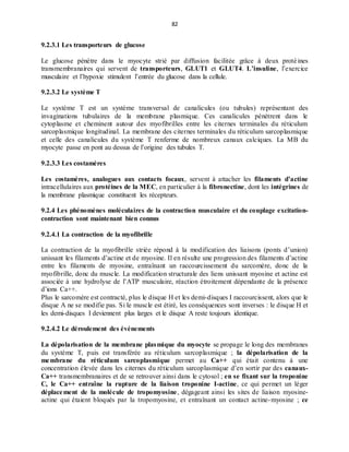 82
9.2.3.1 Les transporteurs de glucose
Le glucose pénètre dans le myocyte strié par diffusion facilitée grâce à deux protéines
transmembranaires qui servent de transporteurs, GLUT1 et GLUT4. L’insuline, l’exercice
musculaire et l’hypoxie stimulent l’entrée du glucose dans la cellule.
9.2.3.2 Le système T
Le système T est un système transversal de canalicules (ou tubules) représentant des
invaginations tubulaires de la membrane plasmique. Ces canalicules pénètrent dans le
cytoplasme et cheminent autour des myofibrilles entre les citernes terminales du réticulum
sarcoplasmique longitudinal. La membrane des citernes terminales du réticulum sarcoplasmique
et celle des canalicules du système T renferme de nombreux canaux calciques. La MB du
myocyte passe en pont au dessus de l’origine des tubules T.
9.2.3.3 Les costamères
Les costamères, analogues aux contacts focaux, servent à attacher les filaments d’actine
intracellulaires aux protéines de la MEC, en particulier à la fibronectine, dont les intégrines de
la membrane plasmique constituent les récepteurs.
9.2.4 Les phénomènes moléculaires de la contraction musculaire et du couplage excitation-
contraction sont maintenant bien connus
9.2.4.1 La contraction de la myofibrille
La contraction de la myofibrille striée répond à la modification des liaisons (ponts d’union)
unissant les filaments d’actine et de myosine. Il en résulte une progression des filaments d’actine
entre les filaments de myosine, entraînant un raccourcissement du sarcomère, donc de la
myofibrille, donc du muscle. La modification structurale des liens unissant myosine et actine est
associée à une hydrolyse de l’ATP musculaire, réaction étroitement dépendante de la présence
d’ions Ca++.
Plus le sarcomère est contracté, plus le disque H et les demi-disques I raccourcissent, alors que le
disque A ne se modifie pas. Si le muscle est étiré, les conséquences sont inverses : le disque H et
les demi-disques I deviennent plus larges et le disque A reste toujours identique.
9.2.4.2 Le déroulement des événements
La dépolarisation de la membrane plasmique du myocyte se propage le long des membranes
du système T, puis est transférée au réticulum sarcoplasmique ; la dépolarisation de la
membrane du réticulum sarcoplasmique permet au Ca++ qui était contenu à une
concentration élevée dans les citernes du réticulum sarcoplasmique d’en sortir par des canaux-
Ca++ transmembranaires et de se retrouver ainsi dans le cytosol ; en se fixant sur la troponine
C, le Ca++ entraîne la rupture de la liaison troponine I-actine, ce qui permet un léger
déplacement de la molécule de tropomyosine, dégageant ainsi les sites de liaison myosine-
actine qui étaient bloqués par la tropomyosine, et entraînant un contact actine-myosine ; ce
 