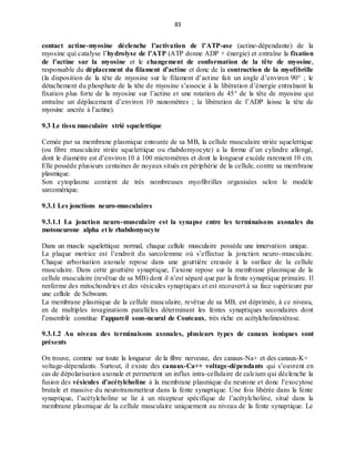 83
contact actine-myosine déclenche l’activation de l’ATP-ase (actine-dépendante) de la
myosine qui catalyse l’hydrolyse de l’ATP (ATP donne ADP + énergie) et entraîne la fixation
de l’actine sur la myosine et le changement de conformation de la tête de myosine,
responsable du déplacement du filament d’actine et donc de la contraction de la myofibrille
(la disposition de la tête de myosine sur le filament d’actine fait un angle d’environ 90° ; le
détachement du phosphate de la tête de myosine s’associe à la libération d’énergie entraînant la
fixation plus forte de la myosine sur l’actine et une rotation de 45° de la tête de myosine qui
entraîne un déplacement d’environ 10 nanomètres ; la libération de l’ADP laisse la tête de
myosine ancrée à l’actine).
9.3 Le tissu musculaire strié squelettique
Cernée par sa membrane plasmique entourée de sa MB, la cellule musculaire striée squelettique
(ou fibre musculaire striée squelettique ou rhabdomyocyte) a la forme d’un cylindre allongé,
dont le diamètre est d’environ 10 à 100 micromètres et dont la longueur excède rarement 10 cm.
Elle possède plusieurs centaines de noyaux situés en périphérie de la cellule, contre sa membrane
plasmique.
Son cytoplasme contient de très nombreuses myofibrilles organisées selon le modèle
sarcomérique.
9.3.1 Les jonctions neuro-musculaires
9.3.1.1 La jonction neuro-musculaire est la synapse entre les terminaisons axonales du
motoneurone alpha et le rhabdomyocyte
Dans un muscle squelettique normal, chaque cellule musculaire possède une innervation unique.
La plaque motrice est l’endroit du sarcolemme où s’effectue la jonction neuro-musculaire.
Chaque arborisation axonale repose dans une gouttière creusée à la surface de la cellule
musculaire. Dans cette gouttière synaptique, l’axone repose sur la membrane plasmique de la
cellule musculaire (revêtue de sa MB) dont il n’est séparé que par la fente synaptique primaire. Il
renferme des mitochondries et des vésicules synaptiques et est recouvert à sa face supérieure par
une cellule de Schwann.
La membrane plasmique de la cellule musculaire, revêtue de sa MB, est déprimée, à ce niveau,
en de multiples invaginations parallèles déterminant les fentes synaptiques secondaires dont
l’ensemble constitue l’appareil sous-neural de Couteaux, très riche en acétylcholinestérase.
9.3.1.2 Au niveau des terminaisons axonales, plusieurs types de canaux ioniques sont
présents
On trouve, comme sur toute la longueur de la fibre nerveuse, des canaux-Na+ et des canaux-K+
voltage-dépendants. Surtout, il existe des canaux-Ca++ voltage-dépendants qui s’ouvrent en
cas de dépolarisation axonale et permettent un influx intra-cellulaire de calcium qui déclenche la
fusion des vésicules d’acétylcholine à la membrane plasmique du neurone et donc l’exocytose
brutale et massive du neurotransmetteur dans la fente synaptique. Une fois libérée dans la fente
synaptique, l’acétylcholine se lie à un récepteur spécifique de l’acétylcholine, situé dans la
membrane plasmique de la cellule musculaire uniquement au niveau de la fente synaptique. Le
 