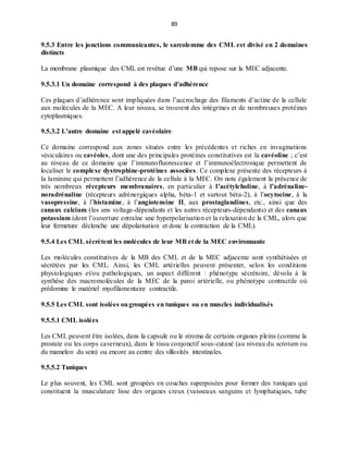 89
9.5.3 Entre les jonctions communicantes, le sarcolemme des CML est divisé en 2 domaines
distincts
La membrane plasmique des CML est revêtue d’une MB qui repose sur la MEC adjacente.
9.5.3.1 Un domaine correspond à des plaques d’adhérence
Ces plaques d’adhérence sont impliquées dans l’accrochage des filaments d’actine de la cellule
aux molécules de la MEC. A leur niveau, se trouvent des intégrines et de nombreuses protéines
cytoplasmiques.
9.5.3.2 L’autre domaine est appelé cavéolaire
Ce domaine correspond aux zones situées entre les précédentes et riches en invaginations
vésiculaires ou cavéoles, dont une des principales protéines constitutives est la cavéoline ; c’est
au niveau de ce domaine que l’immunofluorescence et l’immunoélectronique permettent de
localiser le complexe dystrophine-protéines associées. Ce complexe présente des récepteurs à
la laminine qui permettent l’adhérence de la cellule à la MEC. On note également la présence de
très nombreux récepteurs membranaires, en particulier à l’acétylcholine, à l’adrénaline-
noradrénaline (récepteurs adrénergiques alpha, béta-1 et surtout béta-2), à l’ocytocine, à la
vasopressine, à l’histamine, à l’angiotensine II, aux prostaglandines, etc., ainsi que des
canaux calcium (les uns voltage-dépendants et les autres récepteurs-dépendants) et des canaux
potassium (dont l’ouverture entraîne une hyperpolarisation et la relaxation de la CML, alors que
leur fermeture déclenche une dépolarisation et donc la contraction de la CML).
9.5.4 Les CML sécrètent les molécules de leur MB et de la MEC environnante
Les molécules constitutives de la MB des CML et de la MEC adjacente sont synthétisées et
sécrétées par les CML. Ainsi, les CML artérielles peuvent présenter, selon les conditions
physiologiques et/ou pathologiques, un aspect différent : phénotype sécrétoire, dévolu à la
synthèse des macromolécules de la MEC de la paroi artérielle, ou phénotype contractile où
prédomine le matériel myofilamentaire contractile.
9.5.5 Les CML sont isolées ougroupées en tuniques ou en muscles individualisés
9.5.5.1 CML isolées
Les CML peuvent être isolées, dans la capsule ou le stroma de certains organes pleins (comme la
prostate ou les corps caverneux), dans le tissu conjonctif sous-cutané (au niveau du scrotum ou
du mamelon du sein) ou encore au centre des villosités intestinales.
9.5.5.2 Tuniques
Le plus souvent, les CML sont groupées en couches superposées pour former des tuniques qui
constituent la musculature lisse des organes creux (vaisseaux sanguins et lymphatiques, tube
 