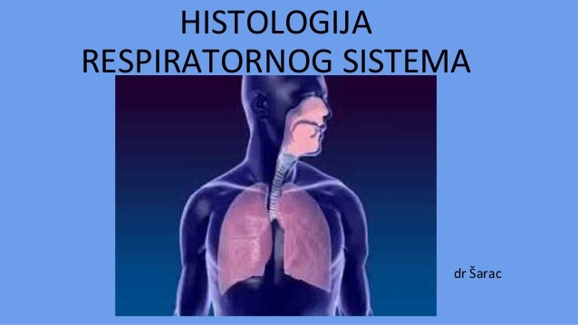 Respiratorni sistem prezentacija