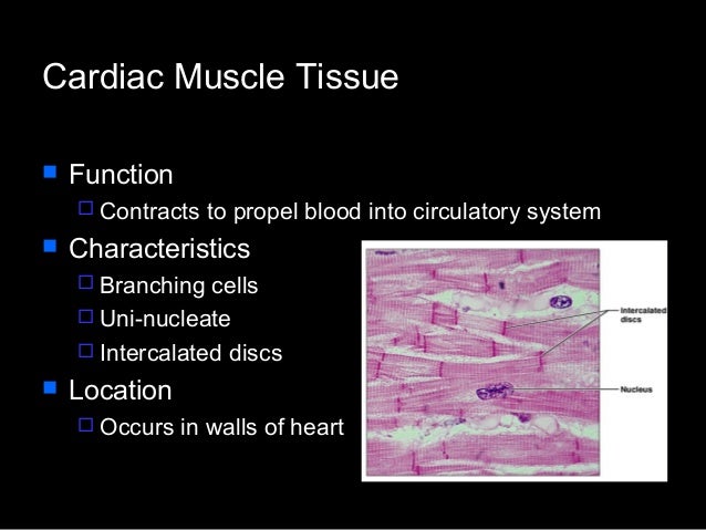 Histology 1 fro medicine and science student