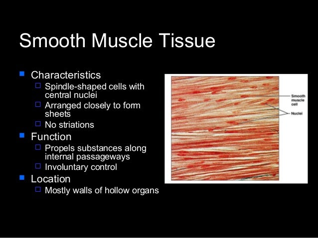 Histology 1 fro medicine and science student
