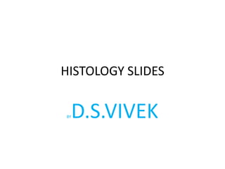 HISTOLOGY SLIDES
BYD.S.VIVEK
 