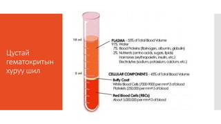 Histology | PPT