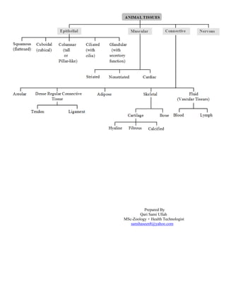 Prepared By
Qari Sami Ullah
MSc-Zoology + Health Technologist
samihaseen8@yahoo.com
 