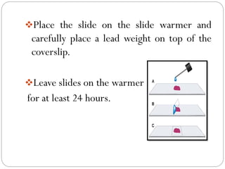❖Place the slide on the slide warmer and
carefully place a lead weight on top of the
coverslip.
❖Leave slides on the warmer
for at least 24 hours.
 