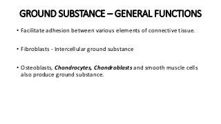GROUND SUBSTANCE – GENERAL FUNCTIONS
• Facilitate adhesion between various elements of connective tissue.
• Fibroblasts - Intercellular ground substance
• Osteoblasts, Chondrocytes, Chondroblasts and smooth muscle cells
also produce ground substance.
 