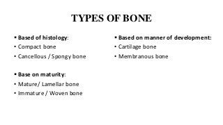 TYPES OF BONE
 Based of histology:
• Compact bone
• Cancellous / Spongy bone
 Base on maturity:
• Mature/ Lamellar bone
• Immature / Woven bone
 Based on manner of development:
• Cartilage bone
• Membranous bone
 
