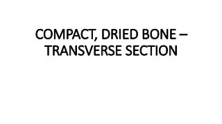 COMPACT, DRIED BONE –
TRANSVERSE SECTION
 