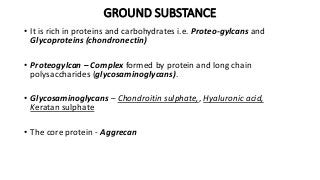 GROUND SUBSTANCE
• It is rich in proteins and carbohydrates i.e. Proteo-gylcans and
Glycoproteins (chondronectin)
• Proteogylcan – Complex formed by protein and long chain
polysaccharides (glycosaminoglycans).
• Glycosaminoglycans – Chondroitin sulphate,, Hyaluronic acid,
Keratan sulphate
• The core protein - Aggrecan
 