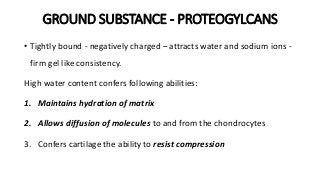 GROUND SUBSTANCE - PROTEOGYLCANS
• Tightly bound - negatively charged – attracts water and sodium ions -
firm gel like consistency.
High water content confers following abilities:
1. Maintains hydration of matrix
2. Allows diffusion of molecules to and from the chondrocytes
3. Confers cartilage the ability to resist compression
 