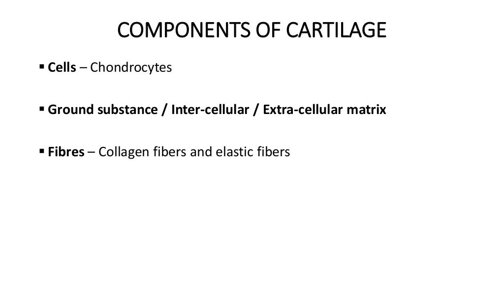Histology - Bone and Cartilage.pptx
