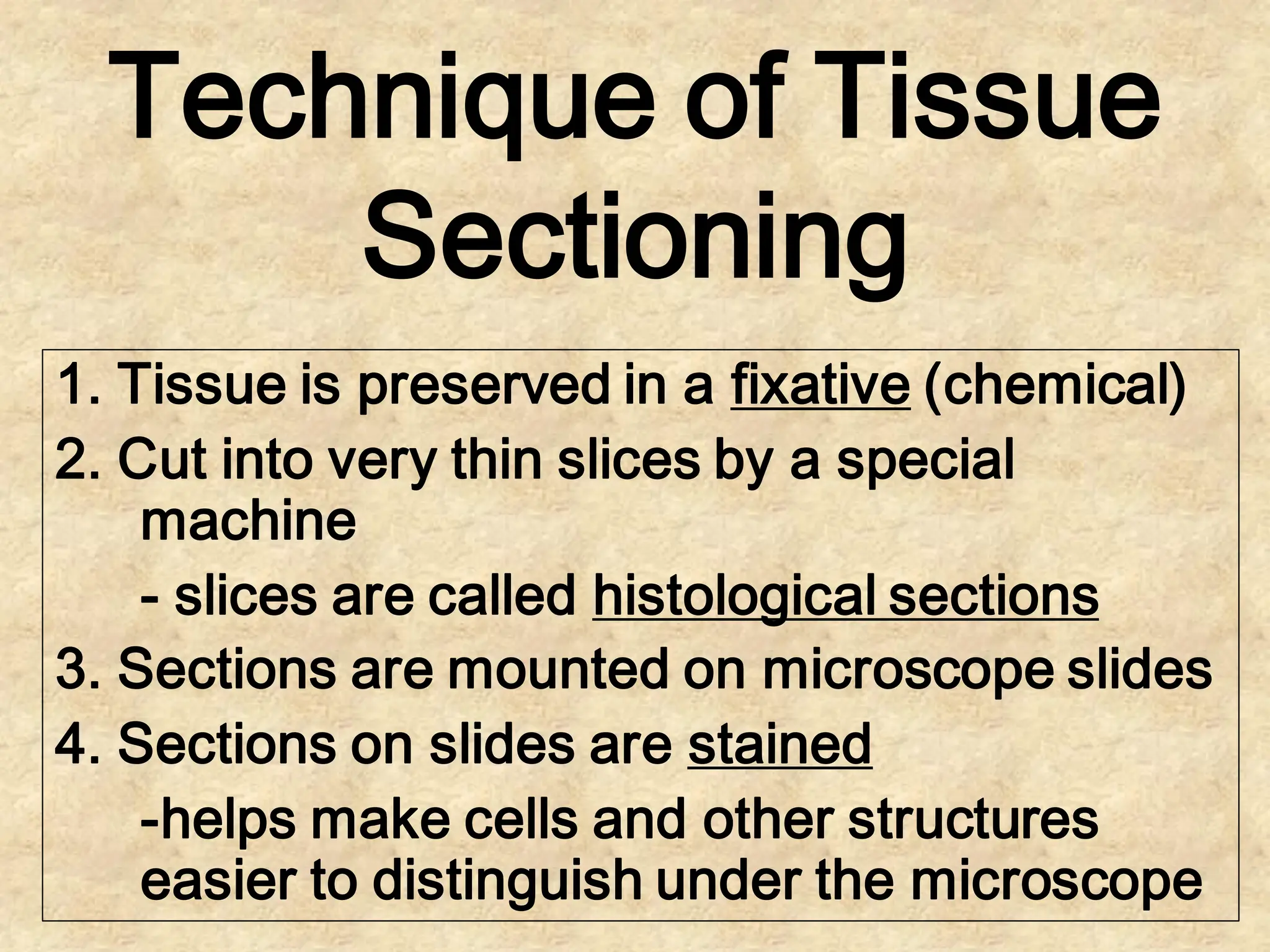 histology educational PowerPoint for students studying medicine | PDF