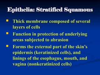 Abrading Form HISTOLOGY - I. Epitel.ppt Mahasiswa Fk baru | PPT