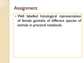 Assignment
 Well labelled histological representation
of female genitalia of different species of
animals in practical notebook.
 