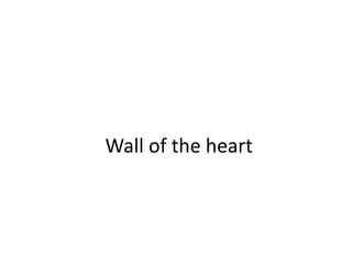 Wall of the heart
 