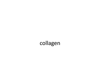 collagen
 