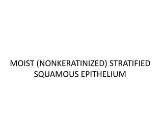 MOIST (NONKERATINIZED) STRATIFIED
SQUAMOUS EPITHELIUM
 
