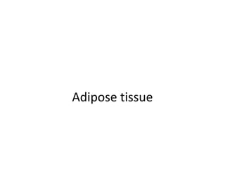 Adipose tissue
 