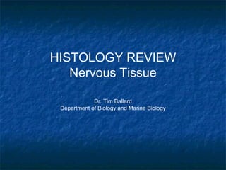 HISTOLOGY REVIEW 
Nervous Tissue 
Dr. Tim Ballard 
Department of Biology and Marine Biology 
 