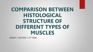 GROUP 1, SECTION 1, 2ND YEAR
COMPARISON BETWEEN
HISTOLOGICAL
STRUCTURE OF
DIFFERENT TYPES OF
MUSCLES
 
