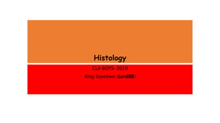Histology
CLA BOYS- 2019
King Soyekwo (Lord88)
 