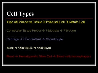 Cell Types
Type of Connective Tissue Immature Cell  Mature Cell
Connective Tissue Proper  Fibroblast  Fibrocyte
Cartilage  Chondroblast  Chondrocyte
Bone  Osteoblast  Osteocyte
Blood  Hematopoietic Stem Cell  Blood cell (macrophages)
 